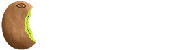 Kiwi News